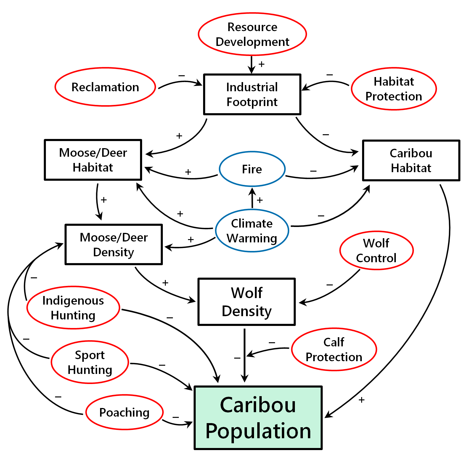 Woodland caribou population model