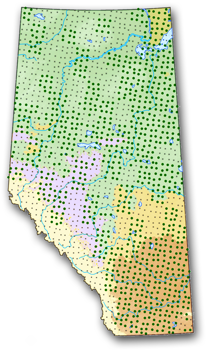 Alberta Biodiversity Monitoring Institute survey grid