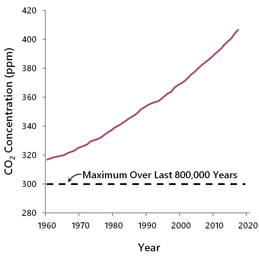 Global rise in CO2