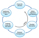 Structured decision making cycle