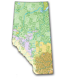 Alberta Biodiversity Monitoring Institute survey grid