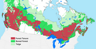 Forest tenure in Canada in 2013